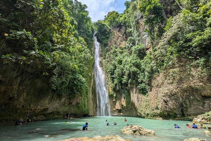 Moalboal Sardine Run, Sea Turtles & Mantayupan Falls: Full-Day Snorkel and Waterfall Tour
