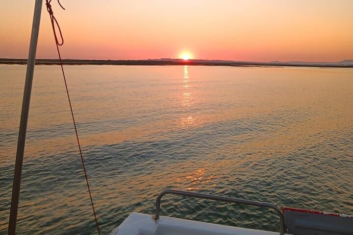 Ria Formosa Boat Tour from Olhão — 3.5-Hour Island & Beach Cruise photo 4