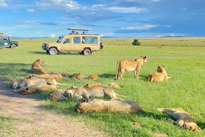 Three-Day Private Safari to Maasai Mara: Big Five Game Drives & Camp Stays photo 5