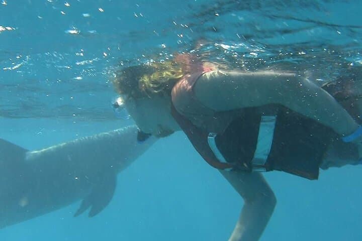 Snorkeling with Wild Dolphins in the Red Sea — Hurghada Day Cruise photo 4