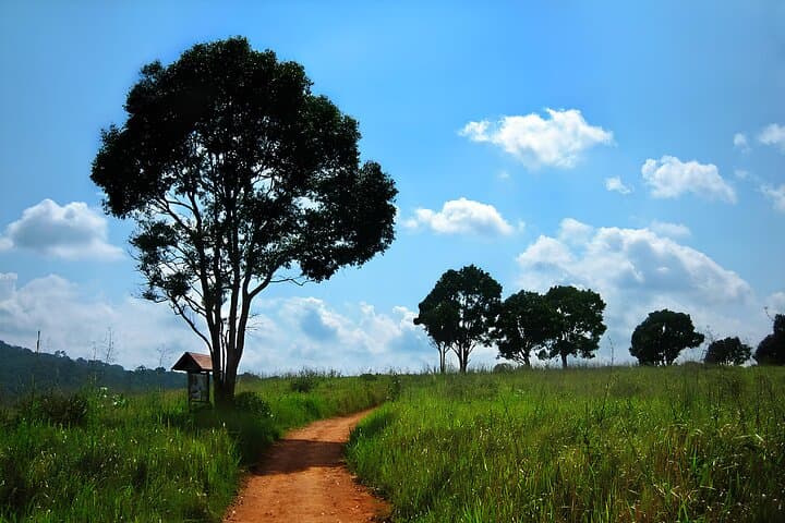 Khao Yai Nature Trails & Haew Suwat Waterfall Day Tour from Bangkok photo 5