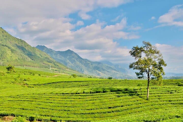 Sapa Full-Day Waterfalls, Pu Sam Cap Cave & Green Tea Farm Tour photo 5