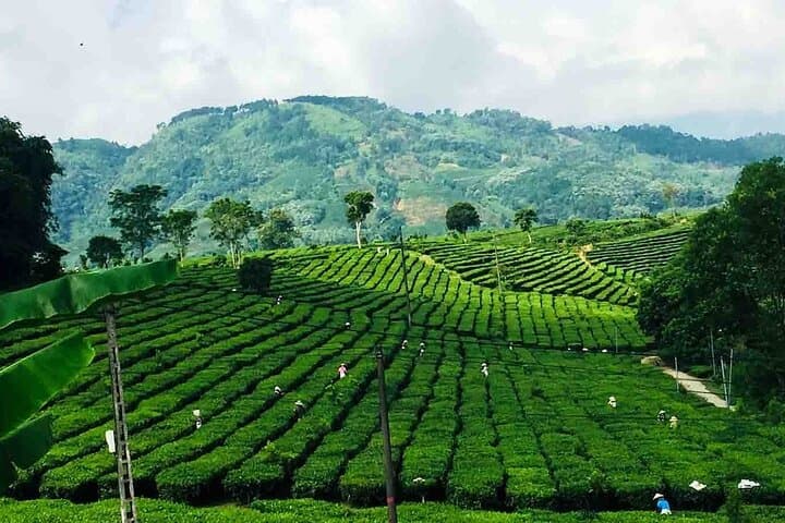 Sapa Full-Day Waterfalls, Pu Sam Cap Cave & Green Tea Farm Tour photo 6