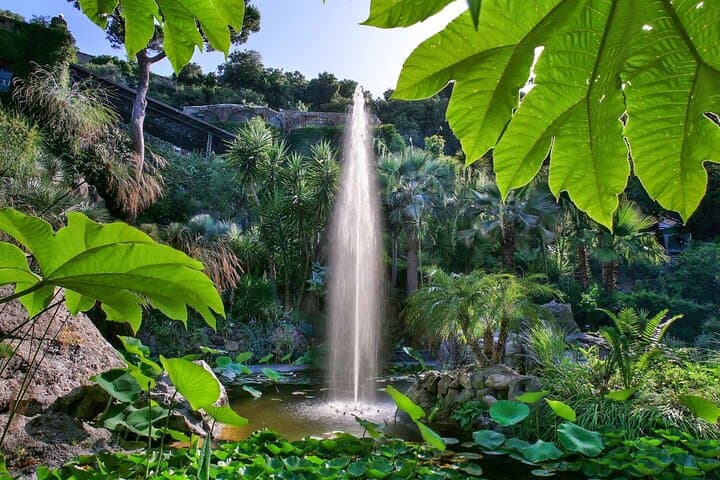 Private Ischia Day Tour: La Mortella Gardens, Fonte Nitrodi & Aragonese Castle photo 2