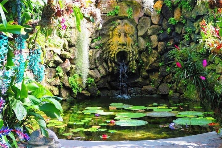 Private Ischia Day Tour: La Mortella Gardens, Fonte Nitrodi & Aragonese Castle photo 3