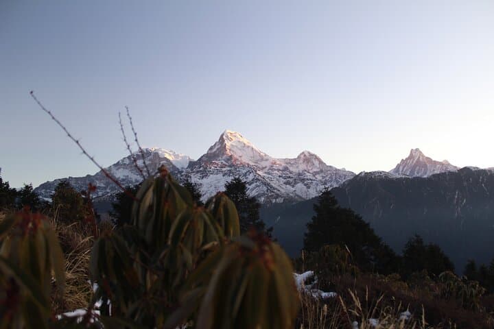 Poon Hill Trek & Seti River Rafting: 5-Day Annapurna Sunrise to River Rapids photo 6