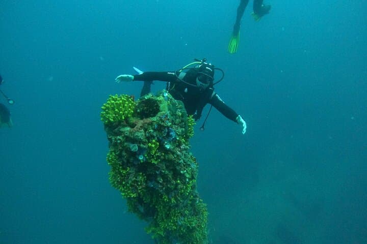 Dubrovnik One-Tank Dive: Southern Adriatic Caves, Reefs & Wrecks photo 5