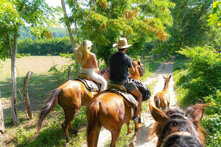 Horseback Riding to Manialtepec Hot Springs — Puerto Escondido Day Ride