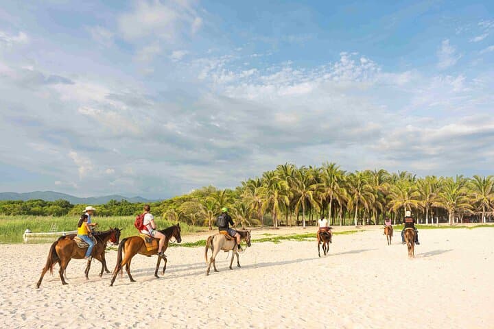 Puerto Escondido Horseback Riding on the Beach & Lagoon Crossing photo 2