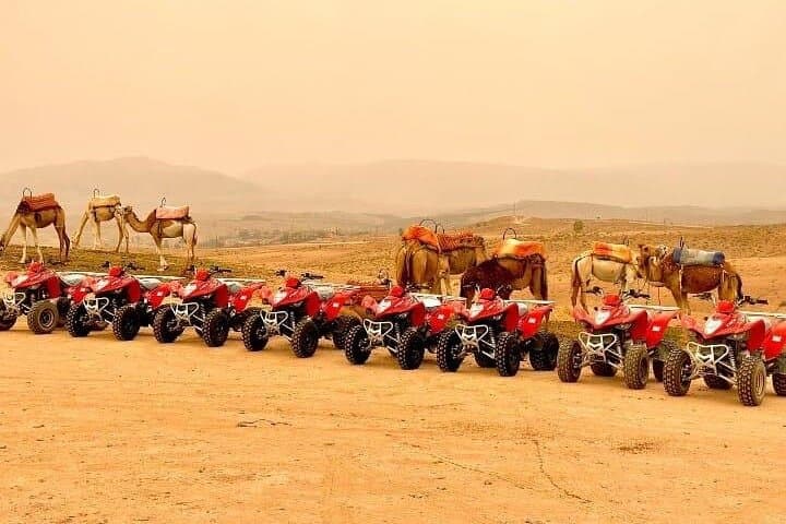Agadir Sunset Quad Biking and Camel Ride — Dunes, Beach & Flamingo Views