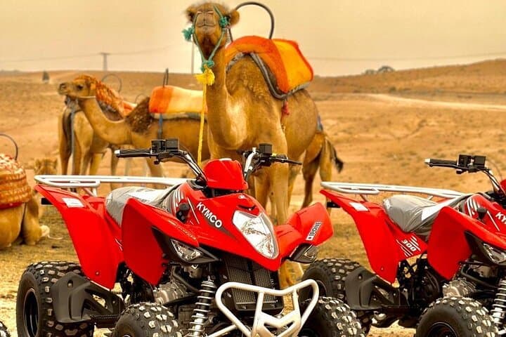 Agadir Sunset Quad Biking and Camel Ride — Dunes, Beach & Flamingo Views photo 3
