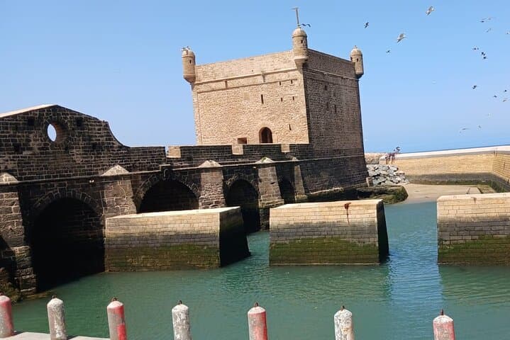 Marrakech to Essaouira Day Trip — Argan Co-ops, Medina, and Atlantic Beaches photo 3