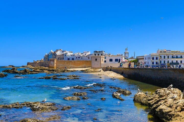 Marrakech to Essaouira Day Trip — Argan Co-ops, Medina, and Atlantic Beaches photo 5