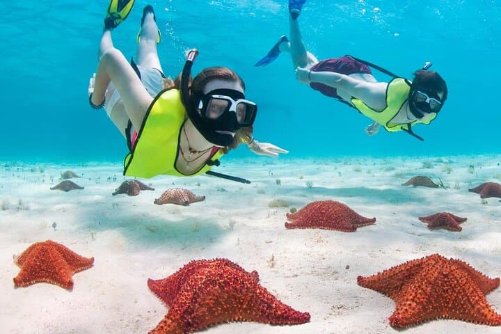 Cayman Combo Tour: Stingrays, Starfish Point & Crystal Caves from Seven Mile Beach photo 2