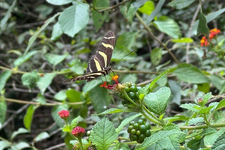 Estanzuela Natural Park Hike: Private Guided Walk Near Monterrey photo 5