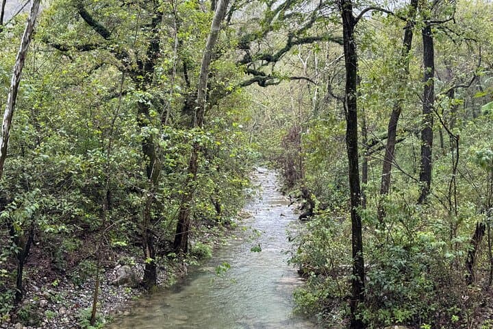 Estanzuela Natural Park Hike: Private Guided Walk Near Monterrey photo 4