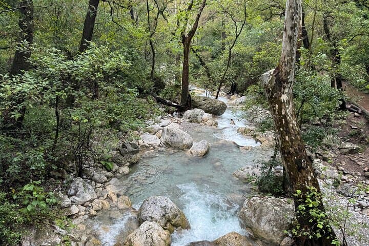 Estanzuela Natural Park Hike: Private Guided Walk Near Monterrey photo 6