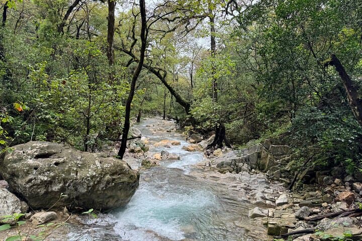 Estanzuela Natural Park Hike: Private Guided Walk Near Monterrey