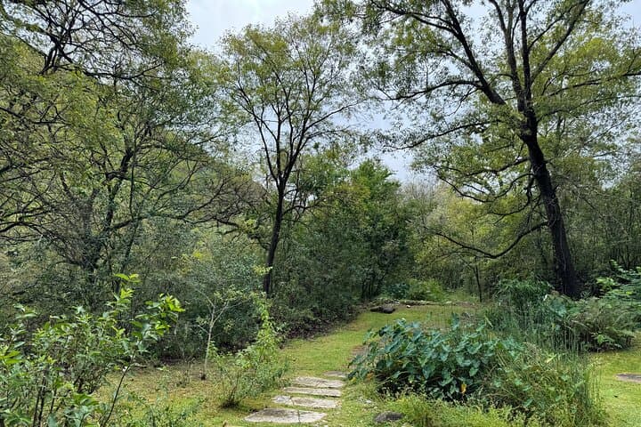 Estanzuela Natural Park Hike: Private Guided Walk Near Monterrey photo 2