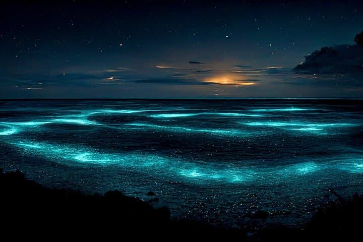 Cayman Bioluminescent Bay Night Tour — Swim with Glowing Plankton at Starfish Point photo 2