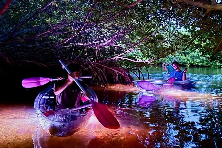 Night Kayak in Key West's Luminous Lagoon — LED Clear-Bottom Adventure