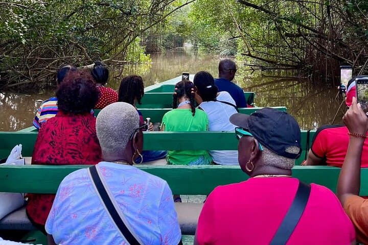 Day Trip to Pitch Lake & Caroni Swamp from Tobago — Pitch Lake, Temple in the Sea & Scarlet Ibis Boat Tour photo 5