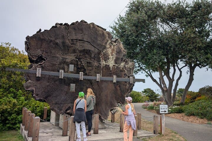 Fort Bragg Scavenger Hunt Walking Tour: Self-Guided Smartphone Game photo 6
