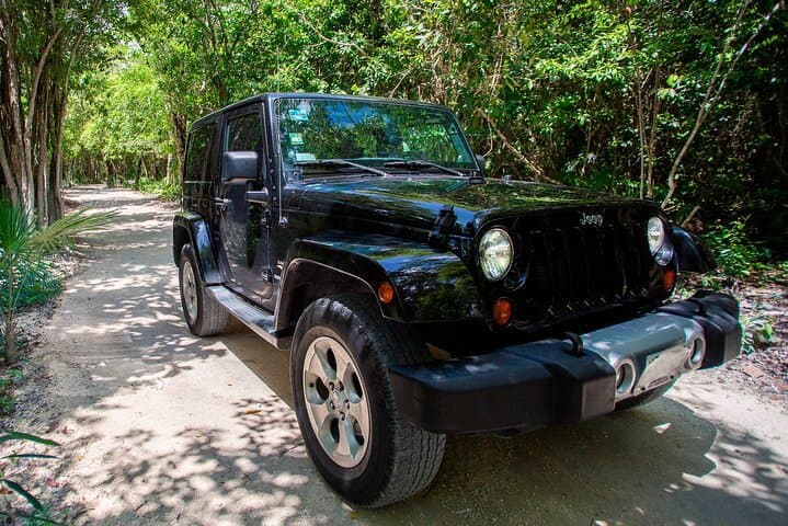 Drive, Dive, Discover: Private Cozumel Jeep & Jade Cavern Cenote Tour