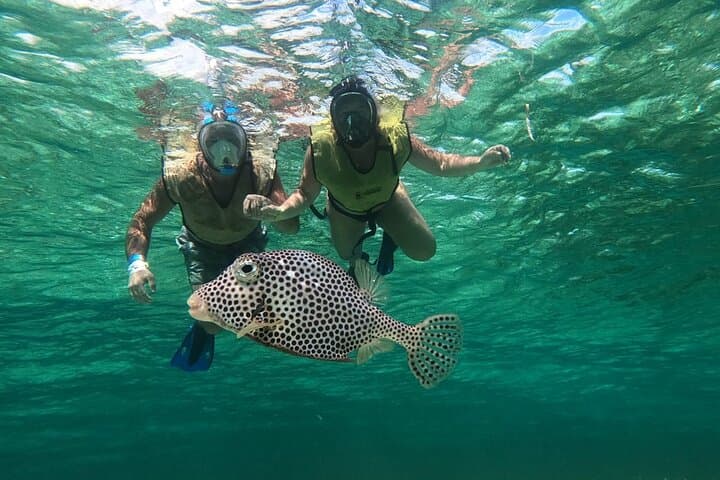 Drive, Dive, Discover: Private Cozumel Jeep & Jade Cavern Cenote Tour photo 6