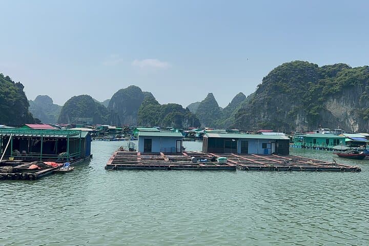 Halong Bay Full-Day Cruise from Hanoi: Caves, Kayaks & Titov Beach photo 6