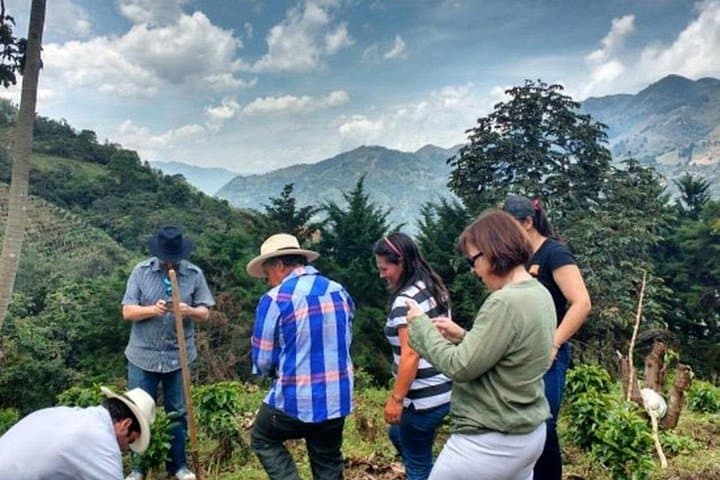 Coffee Farm and Horseback Ride near Medellín: Full-Day Andean Experience photo 4