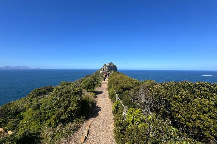 Cape Peninsula Private Tour: Cape Point, Boulders Penguin Beach & Chapman's Peak photo 6