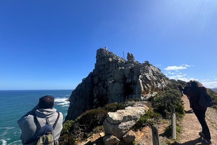 Cape Peninsula Private Tour: Cape Point, Boulders Penguin Beach & Chapman's Peak photo 4