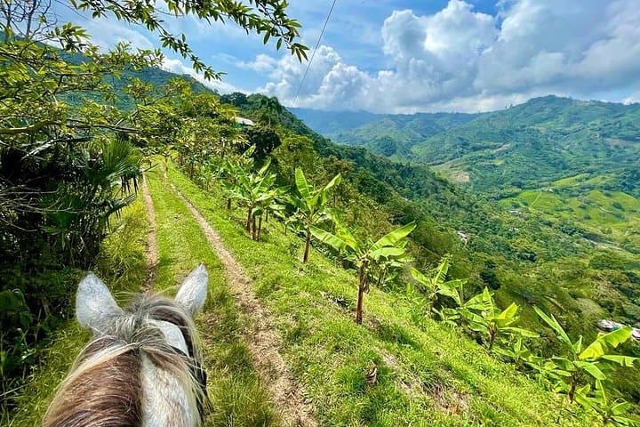 Coffee Farm and Horseback Ride near Medellín: Full-Day Andean Experience photo 3