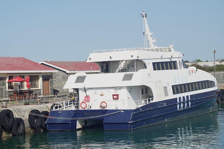 Robben Island Tour with Former Political Prisoner Guide — Cape Town Museum Experience photo 4