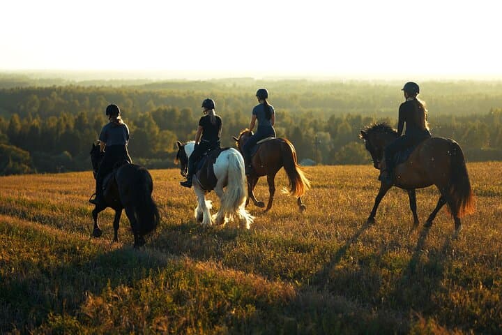 Jogevamaa Horseback Ride: Hands-On Farm Experience Near Tartu