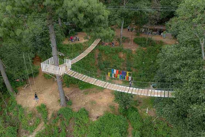 One-Day San José del Pacífico: Suspension Bridge, Enchanted Forest & Village Visit photo 3