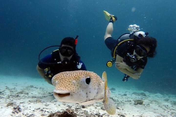 Fast-Track PADI Open Water Course from Phuket: 3 Days, 6 Dives to Certification photo 3