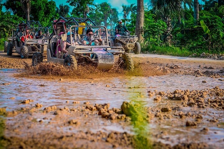 Exploring the Heart of Punta Cana by Boogie: Jungle, Coffee, and Cocoa Adventure photo 2