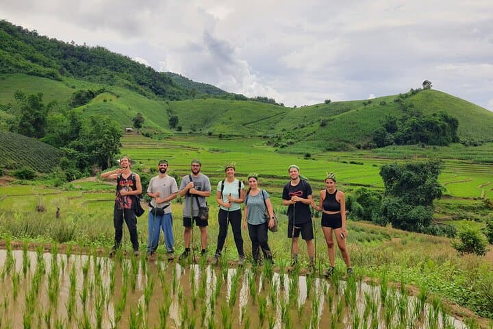 Chiang Rai Bamboo-Cooked Lunch Jungle Trek to Pasoet Hot Spring