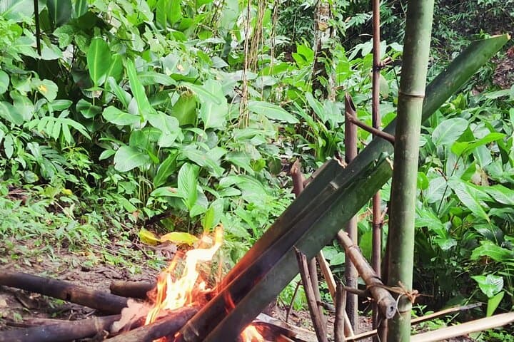 Chiang Rai Bamboo-Cooked Lunch Jungle Trek to Pasoet Hot Spring photo 6