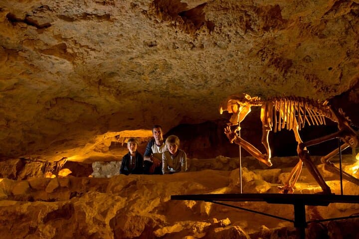 Private Naracoorte Caves Tour — Exclusive Fossil Lab Access & Yallum Park Visit photo 2