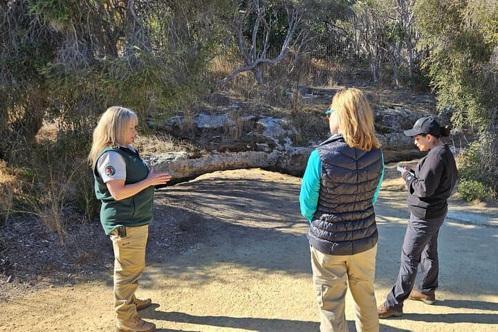 Private Naracoorte Caves Tour — Exclusive Fossil Lab Access & Yallum Park Visit photo 4