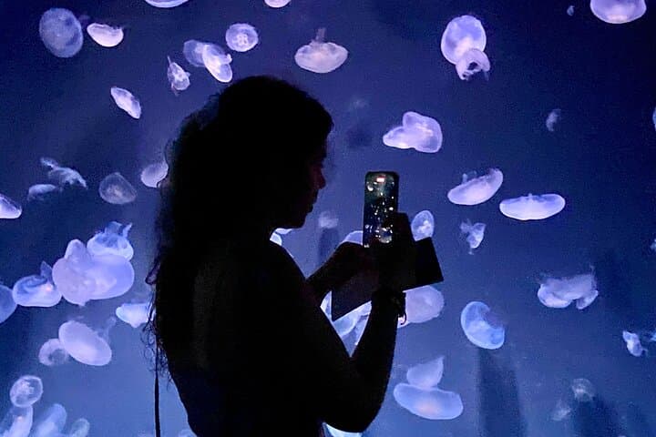 Behind the Tanks: Sunshine Aquarium Backyard Tour and Sunshine60 Observatory in Ikebukuro photo 1