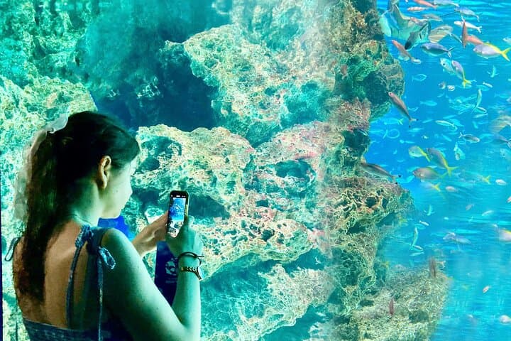 Behind the Tanks: Sunshine Aquarium Backyard Tour and Sunshine60 Observatory in Ikebukuro photo 2