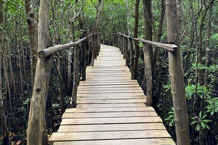 Jozani Forest and Spice Tour — Red Colobus, Mangroves & Zanzibar Spices photo 4