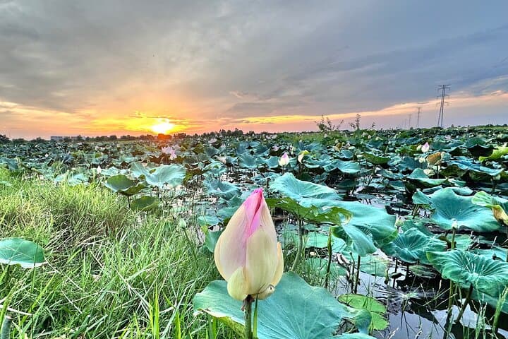 Off-the-Beaten-Track Angkor Cab: 3-Day Private Siem Reap Temple Tour photo 6