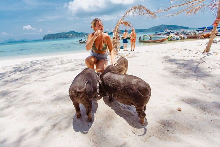 Pig Island Day Trip from Koh Samui: Snorkel, Kayak & Meet the Pigs photo 2