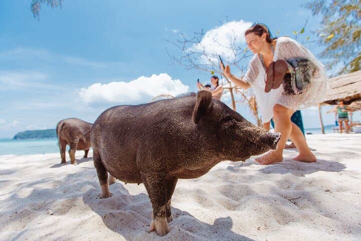 Pig Island Day Trip from Koh Samui: Snorkel, Kayak & Meet the Pigs photo 3