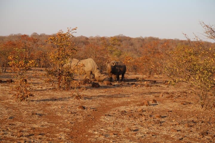 Across Four Countries: 5-Day Victoria Falls, Chobe & Impalila Island Safari photo 2